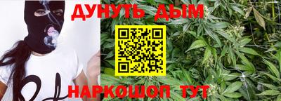 мдпв Обь