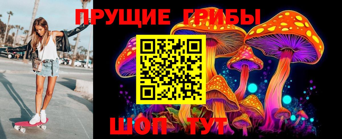 Галлюциногенные грибы прущие грибы Астрахань