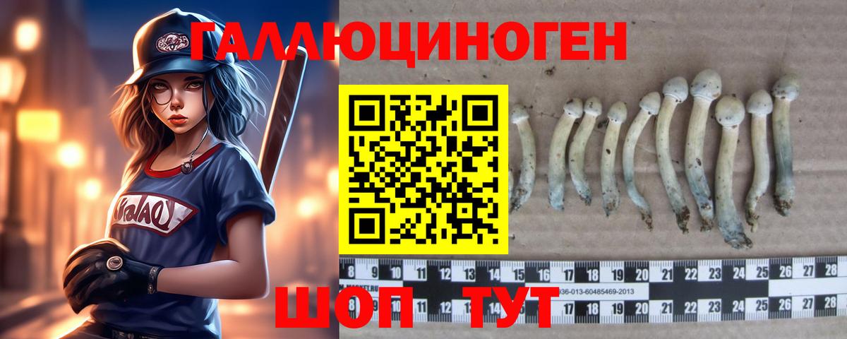 Астрахань  закладки  Вход с VPN  Псилоцибиновые грибы MAGIC MUSHROOMS 